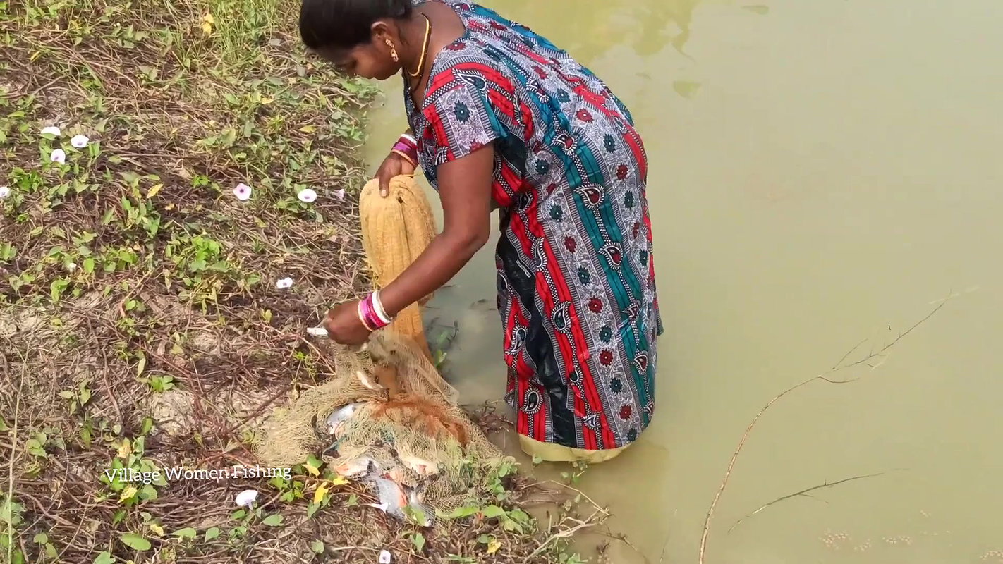 Amazing Village Women Traditional Net Fishing   Vi