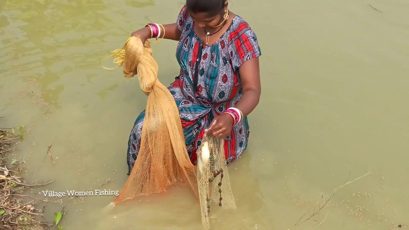 Amazing Village Women Traditional Net Fishing   Vi