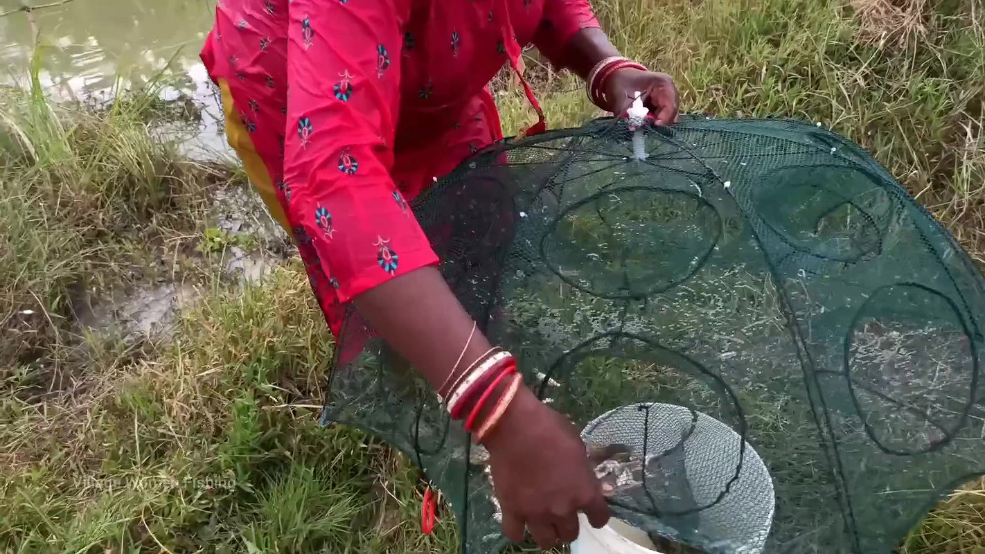 Amazing Village Women Trap Fishing   Incredible La