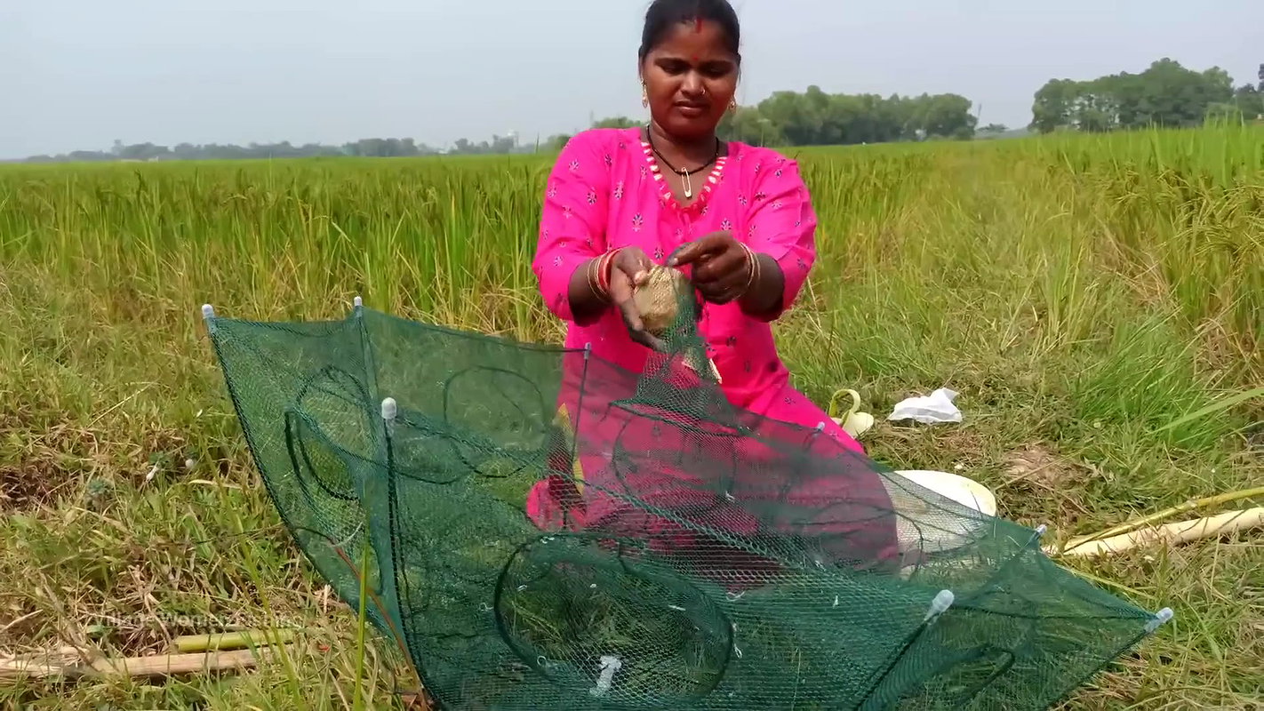 Amazing Village Women Trap Fishing   Incredible La