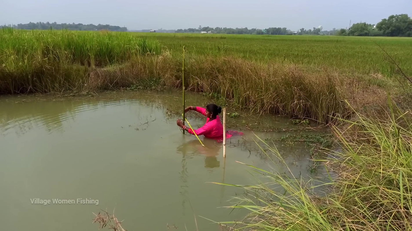 Amazing Village Women Trap Fishing   Incredible La