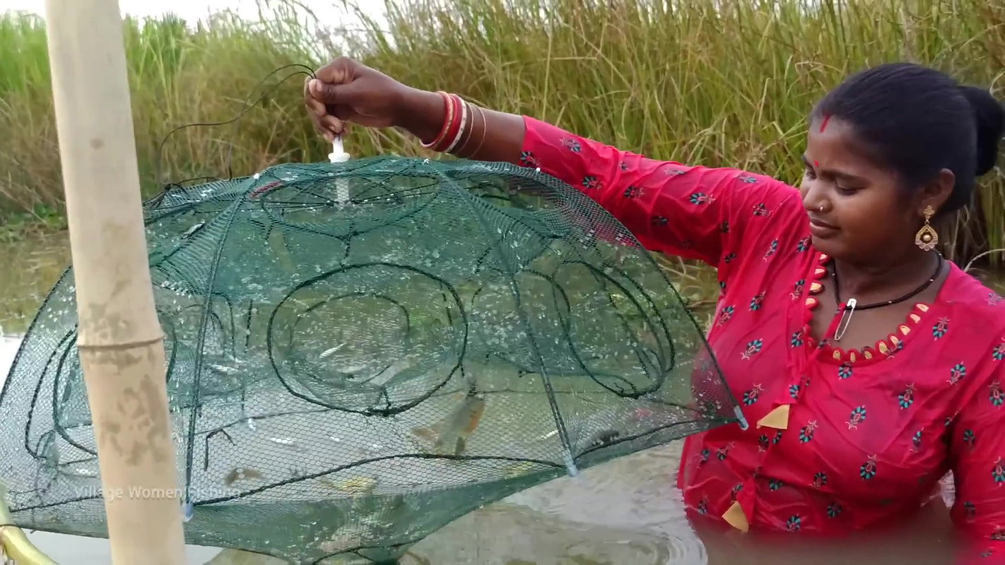Amazing Village Women Trap Fishing   Incredible La
