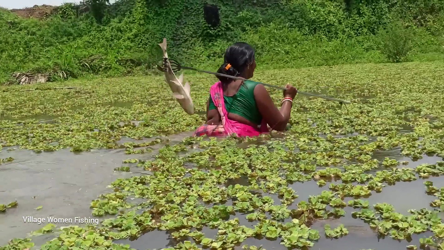 Amazing Village Women Trident fishing   Mouni fish