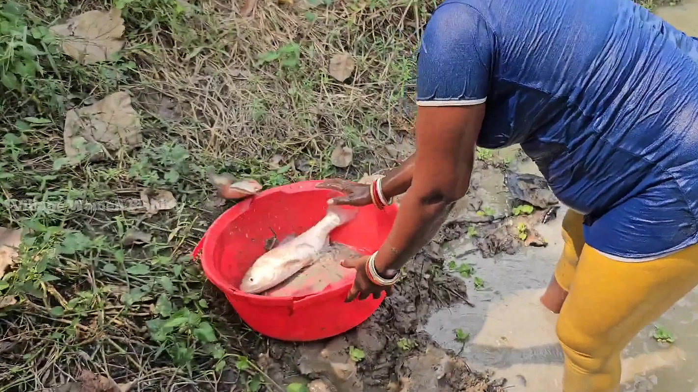 Amazing Village Women unique Fishing technique