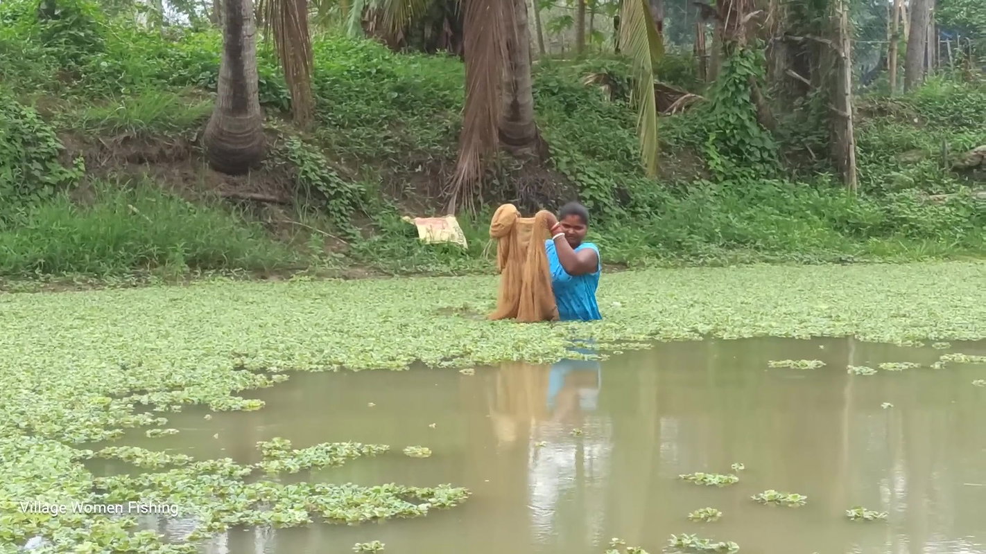 Amazing Village women unique fishing   Tilapia fis