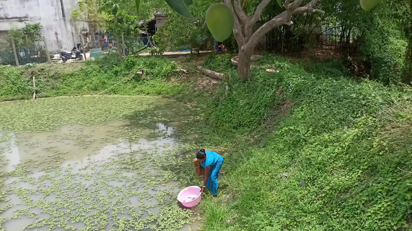 Amazing Village women unique fishing   Tilapia fis