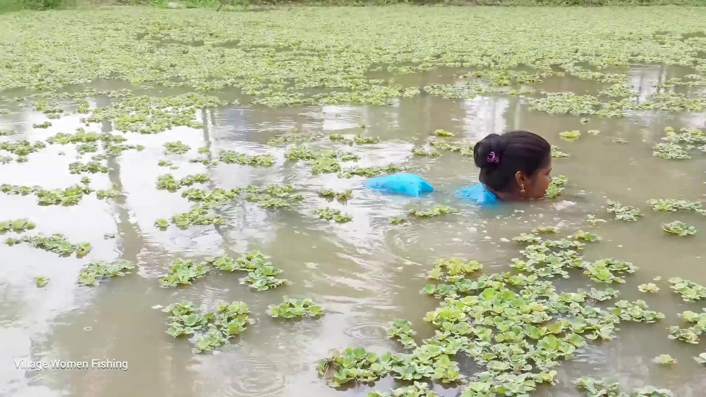 Amazing Village women unique fishing   Tilapia fis
