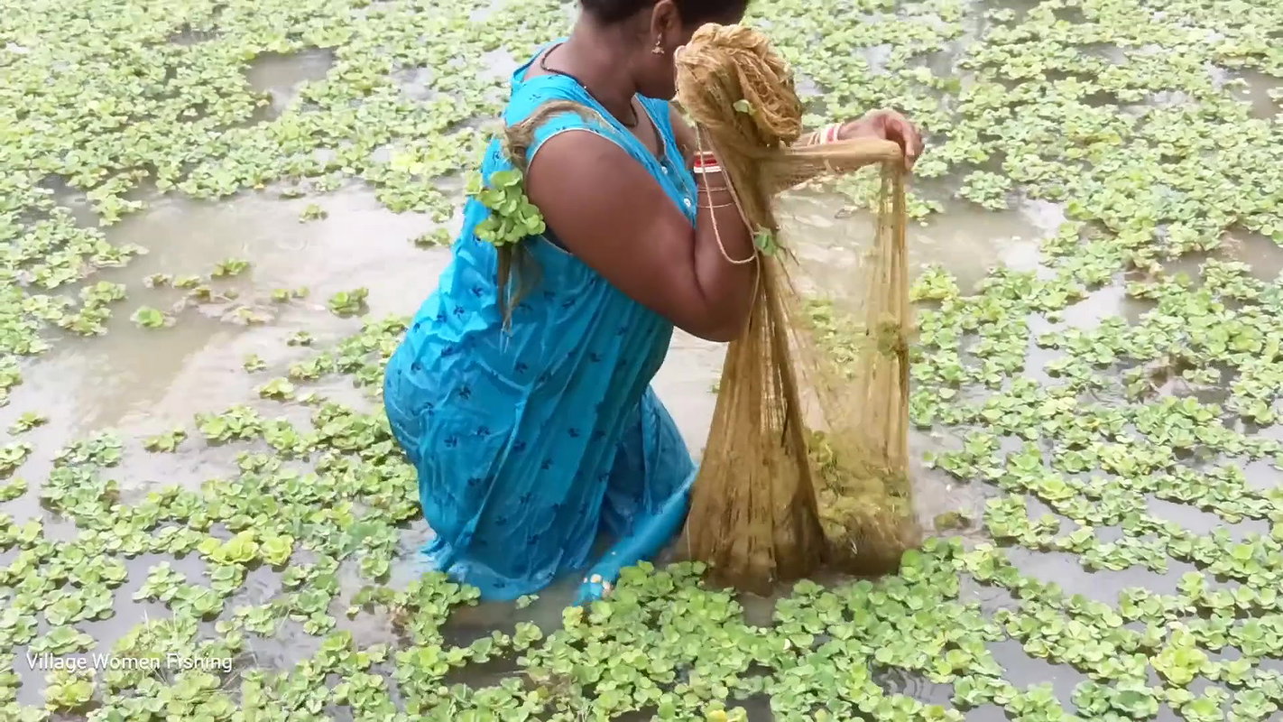 Amazing Village women unique fishing   Tilapia fis