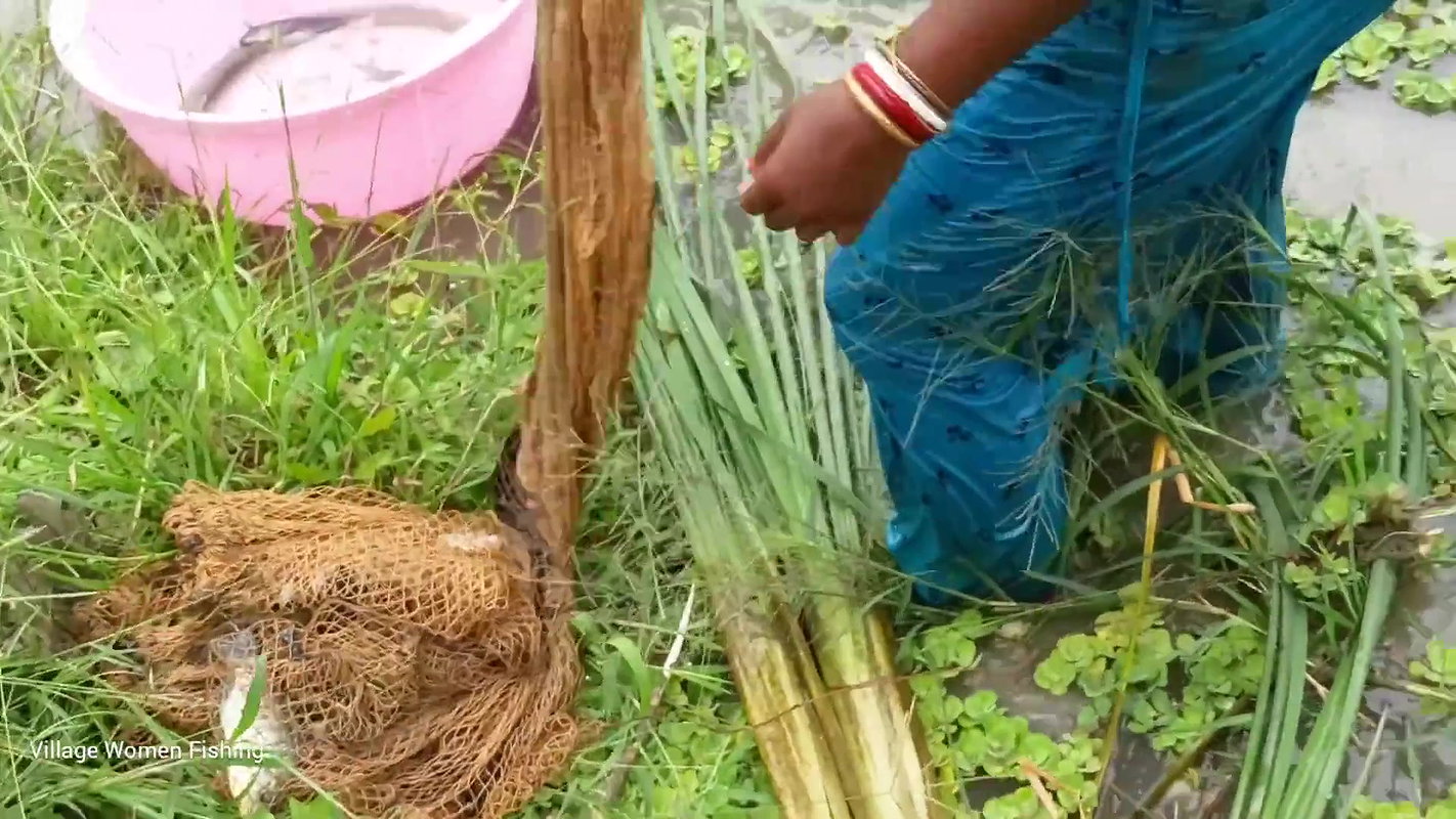 Amazing Village women unique fishing   Tilapia fis
