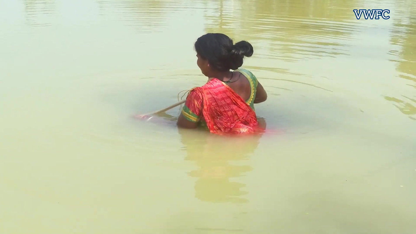 Amazing Woman Fishing Part – II   Village Women fi