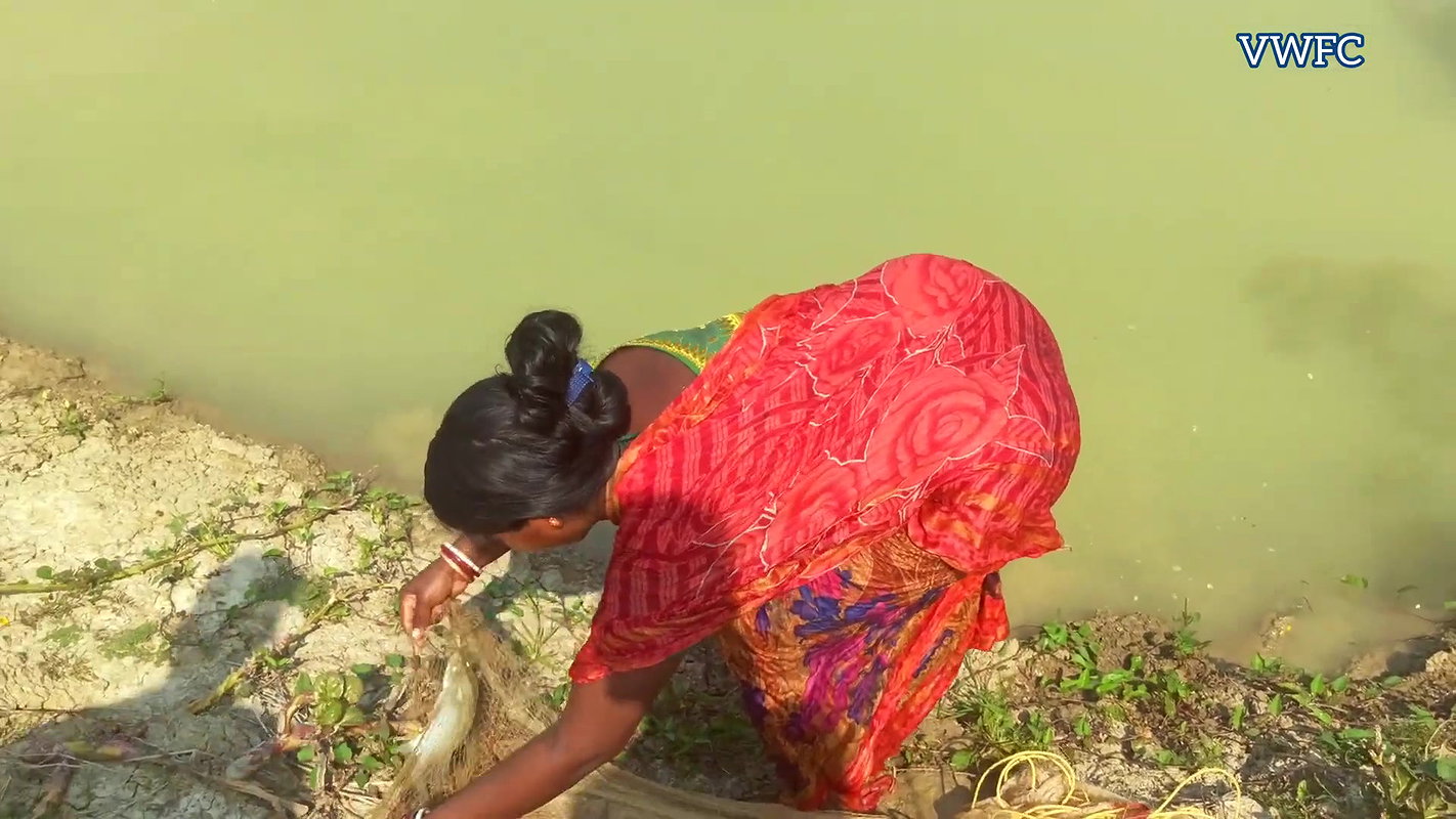 Amazing Woman Fishing Part – II   Village Women fi