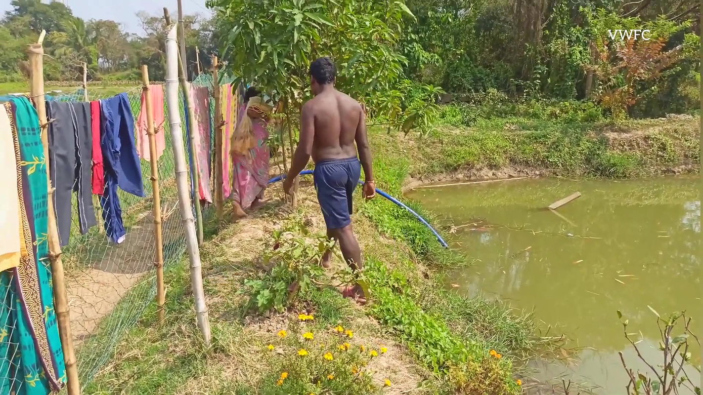 Amazing woman Net Fishing    village women fishing