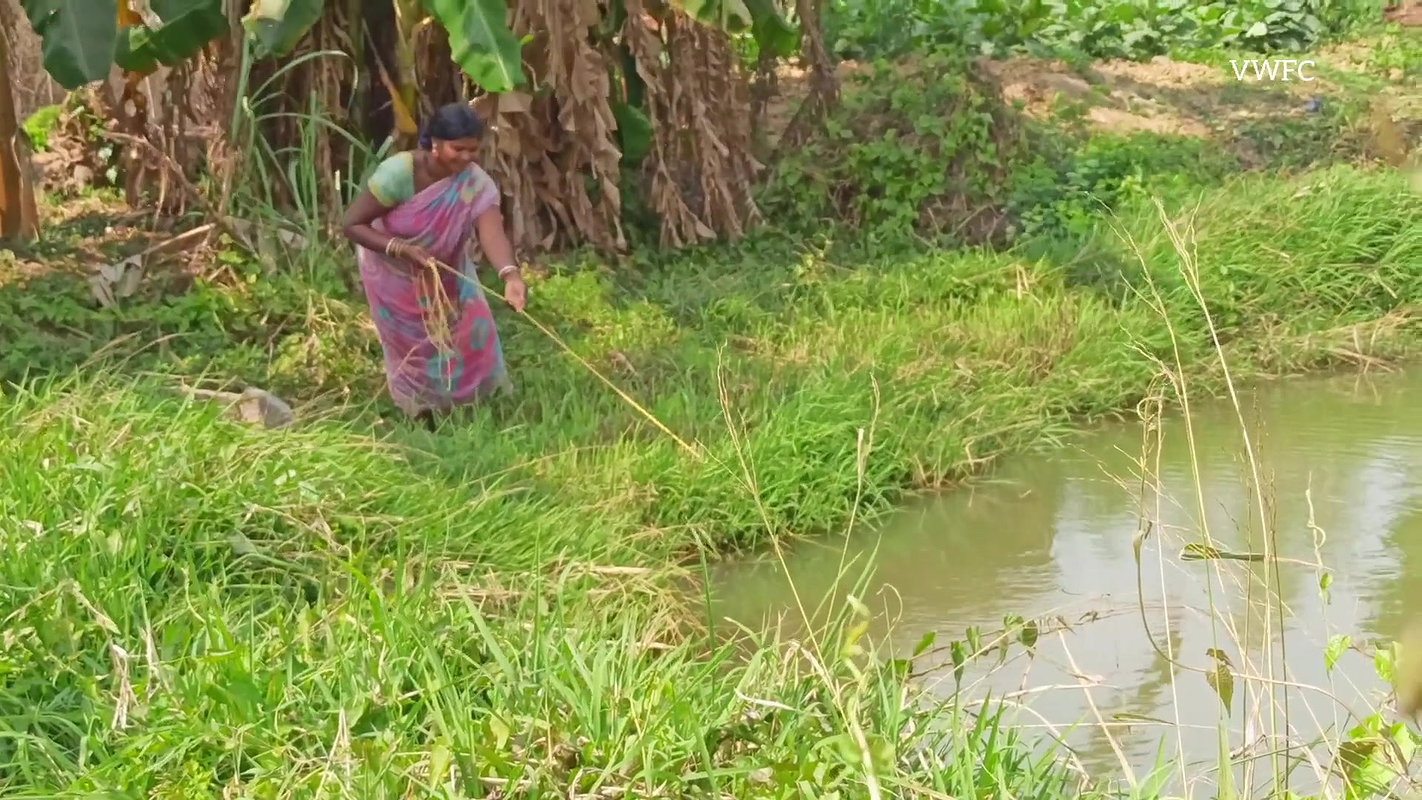 Amazing woman Net Fishing    village women fishing