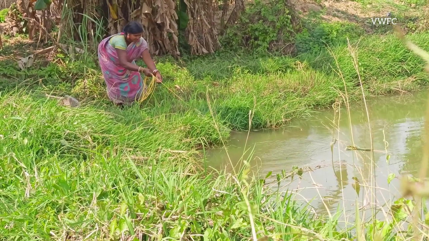 Amazing woman Net Fishing    village women fishing