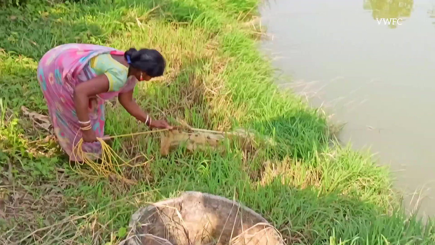 Amazing woman Net Fishing    village women fishing