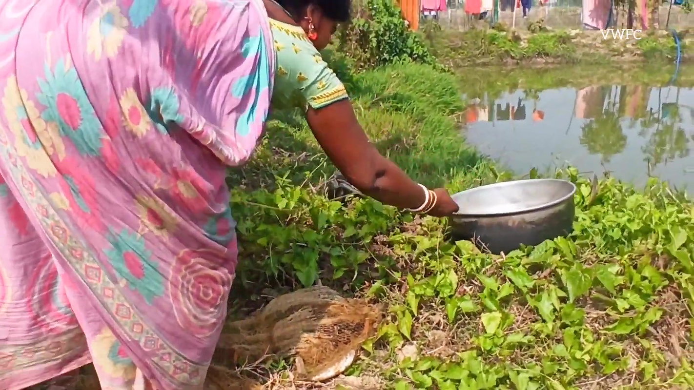 Amazing woman Net Fishing    village women fishing