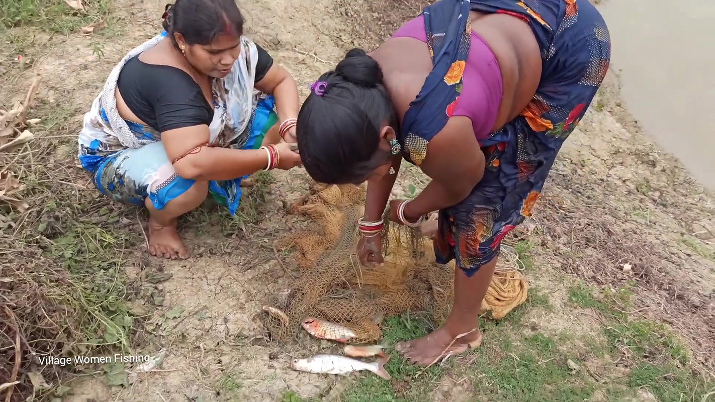 Amazing গ্রামের বৌদি আশ্চর্যজনক জাল মাছ ধরার ভিডিও