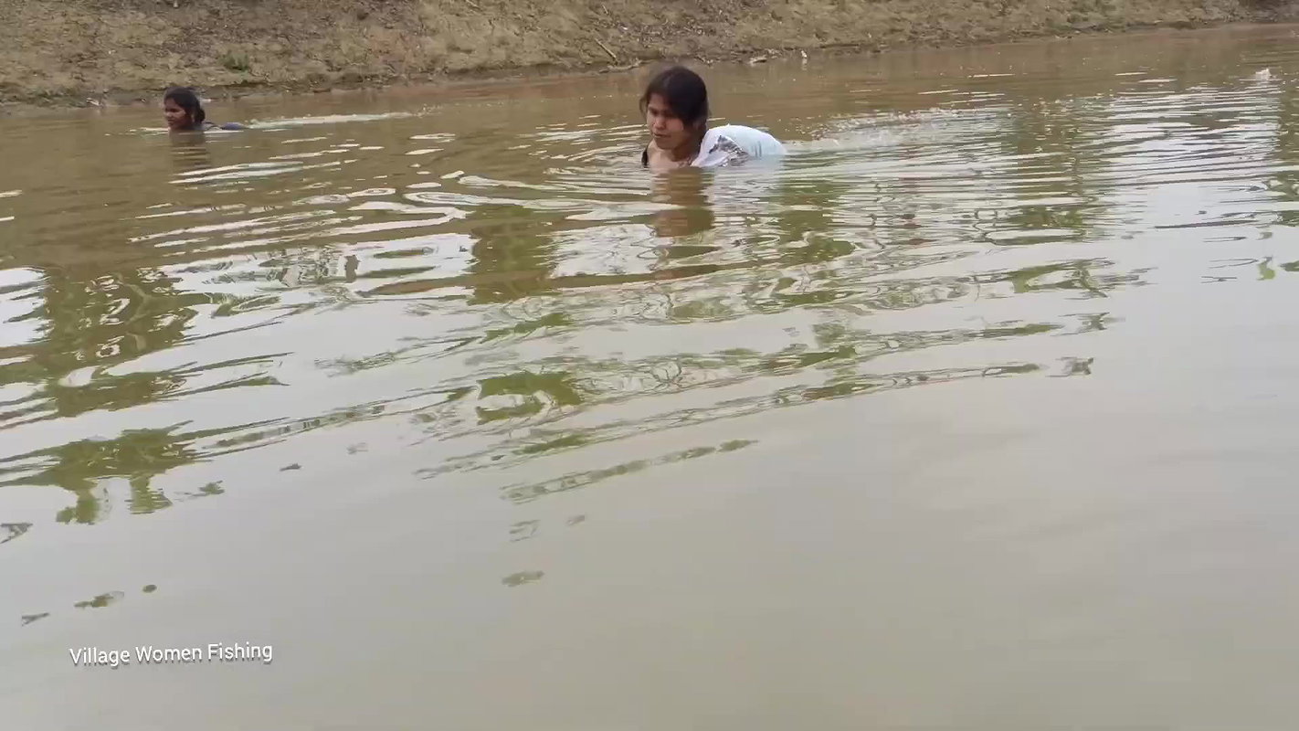 Amazing গ্রামের বৌদি আশ্চর্যজনক জাল মাছ ধরার ভিডিও