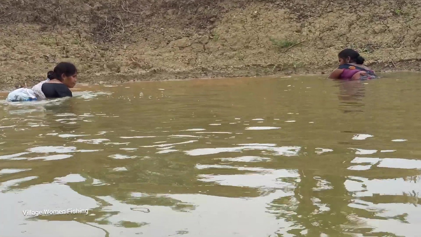 Amazing গ্রামের বৌদি আশ্চর্যজনক জাল মাছ ধরার ভিডিও