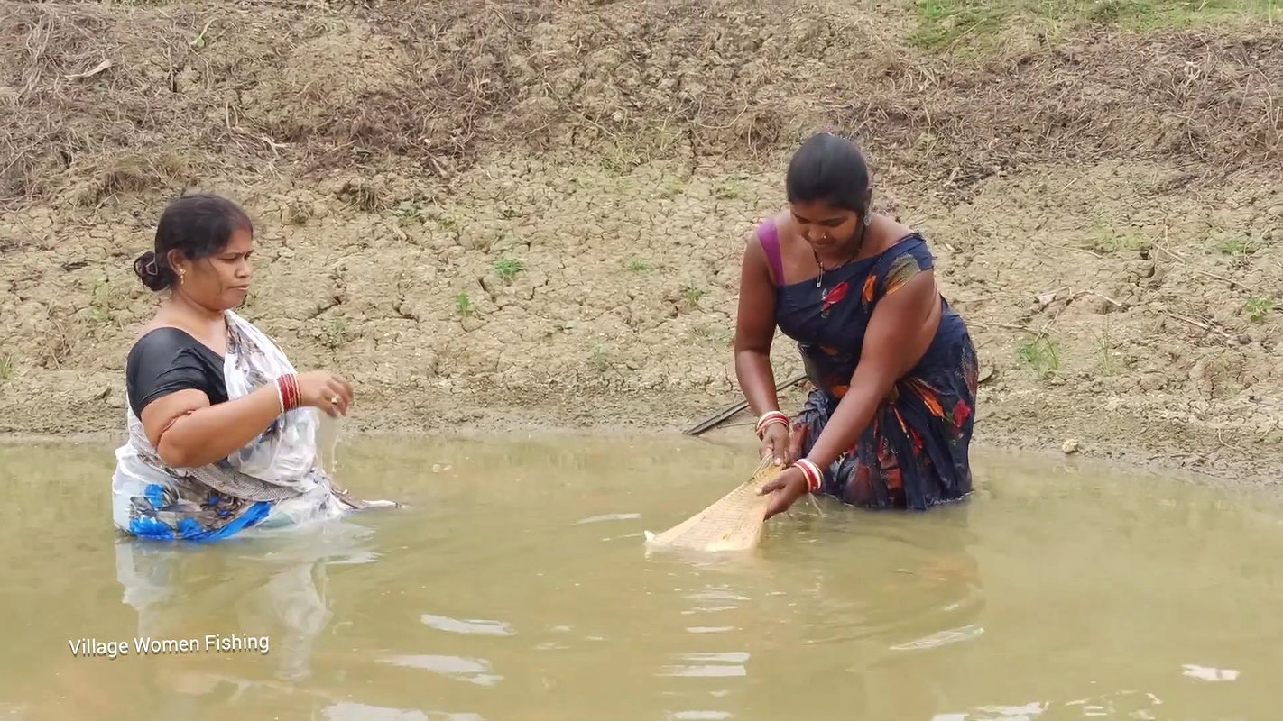 Amazing গ্রামের বৌদি আশ্চর্যজনক জাল মাছ ধরার ভিডিও