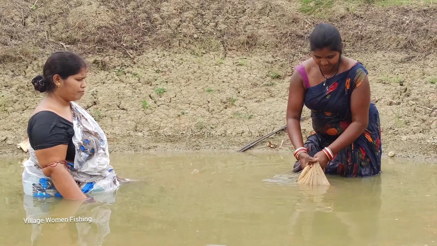 Amazing গ্রামের বৌদি আশ্চর্যজনক জাল মাছ ধরার ভিডিও