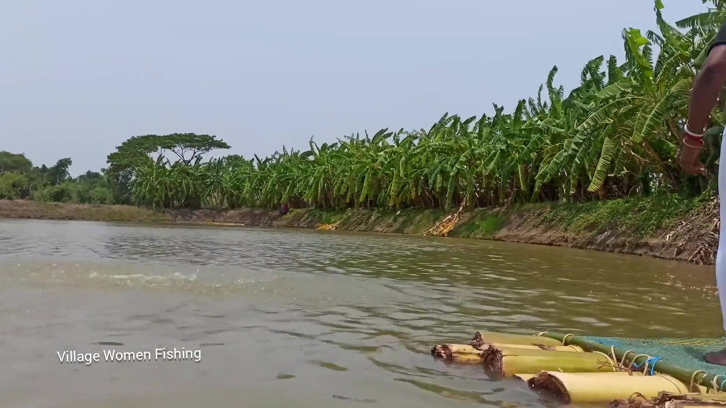 Arrow fishing by village women part-2   Mouni Arro