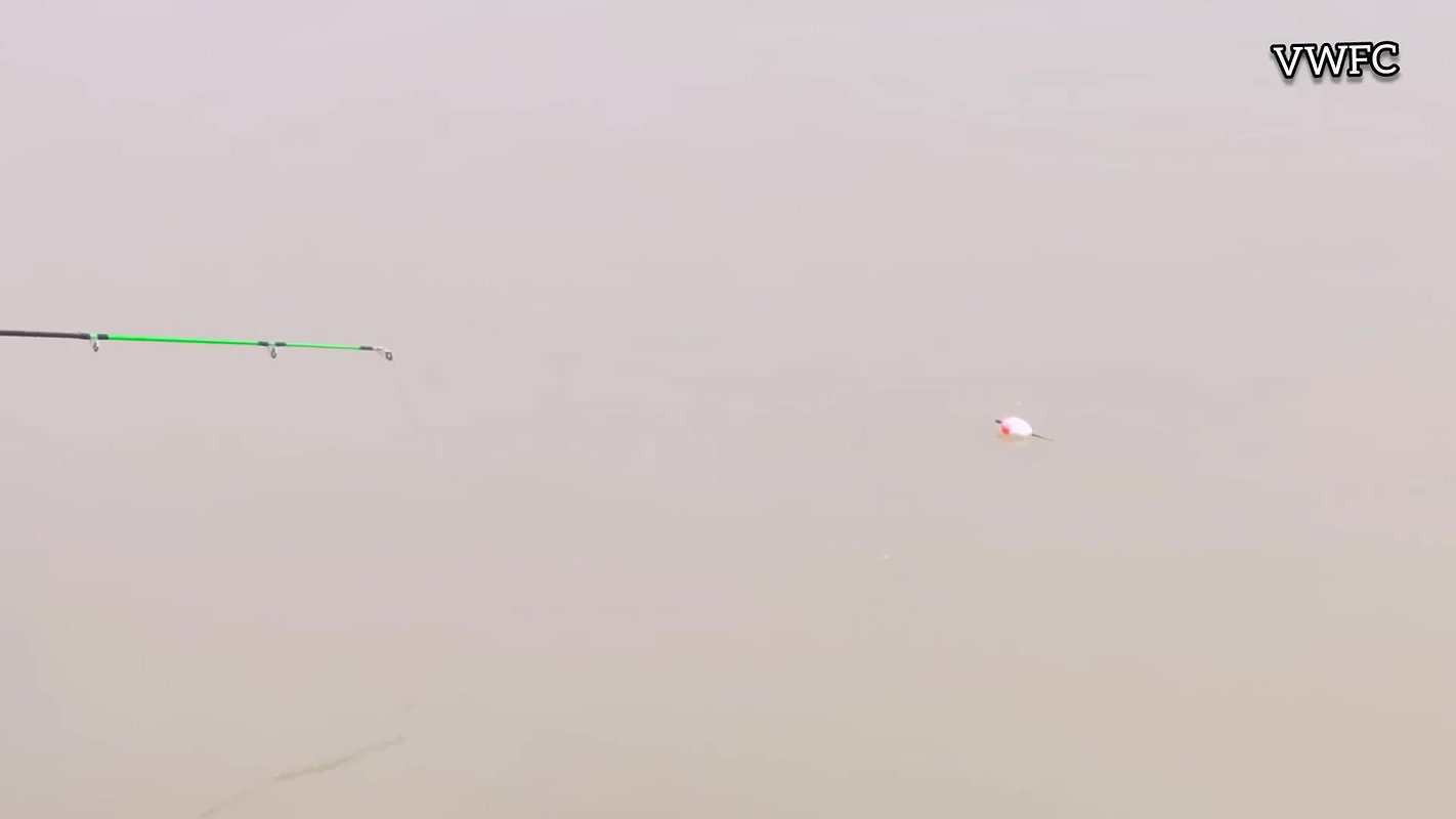 Awesome Fishing Video   Lady Hook fishing in Villa