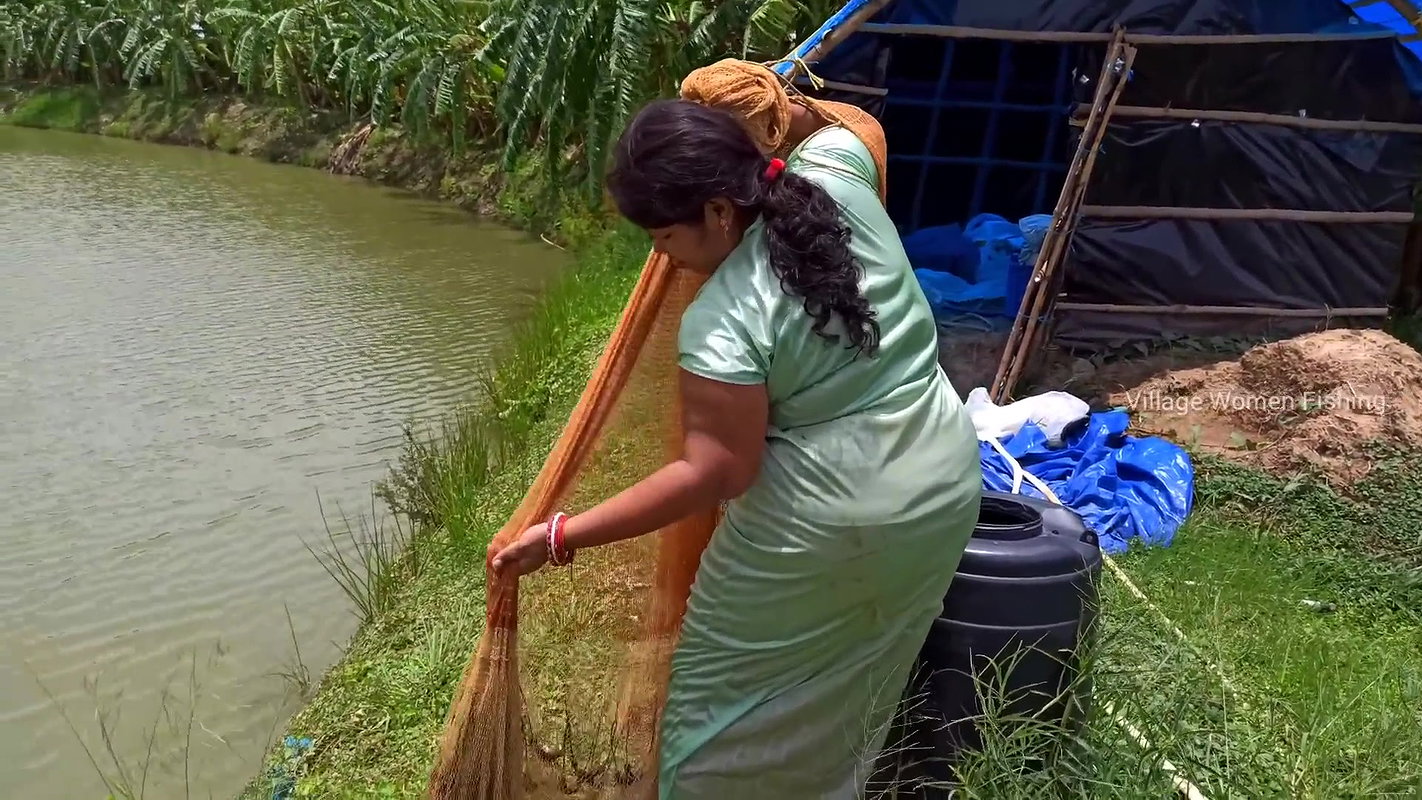 Beautiful Village Woman Net fishing in Pond    vil