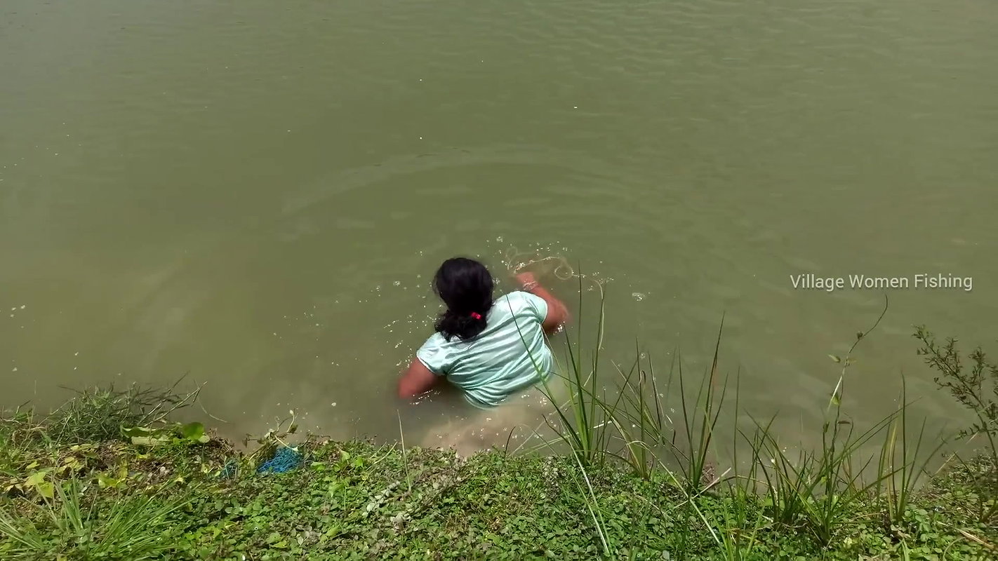 Beautiful Village Woman Net fishing in Pond    vil