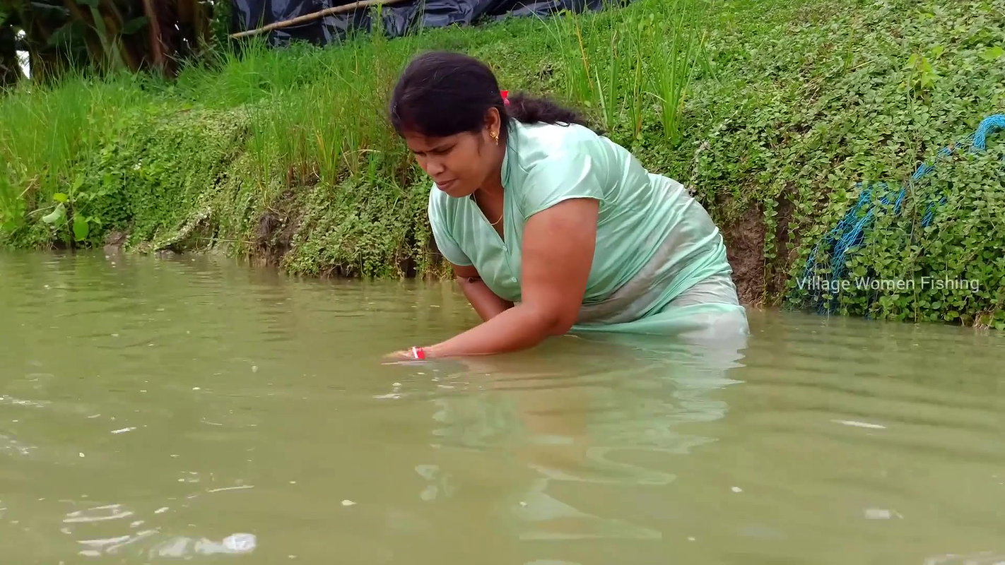 Beautiful Village Woman Net fishing in Pond    vil