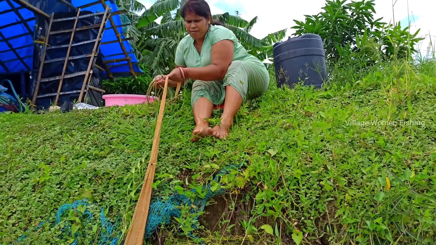 Beautiful Village Woman Net fishing in Pond    vil