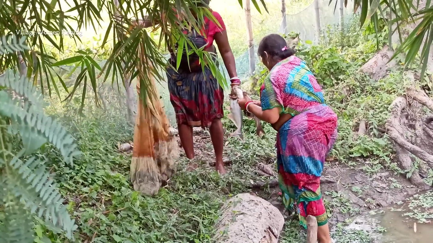 x  Best fishing video by village women   Village wome