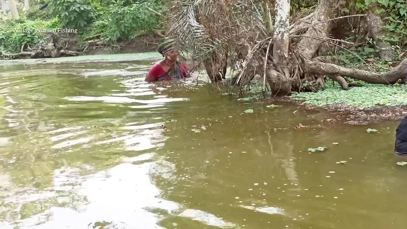 x  Best fishing video by village women   Village wome
