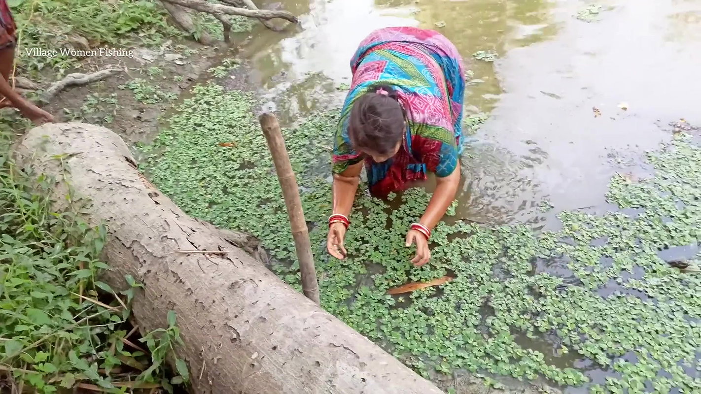 x  Best fishing video by village women   Village wome