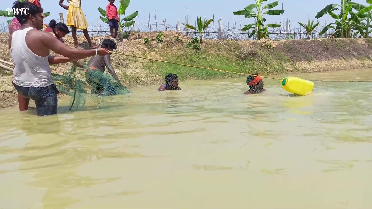 Best Fishing Video    Traditional fishing in Villa