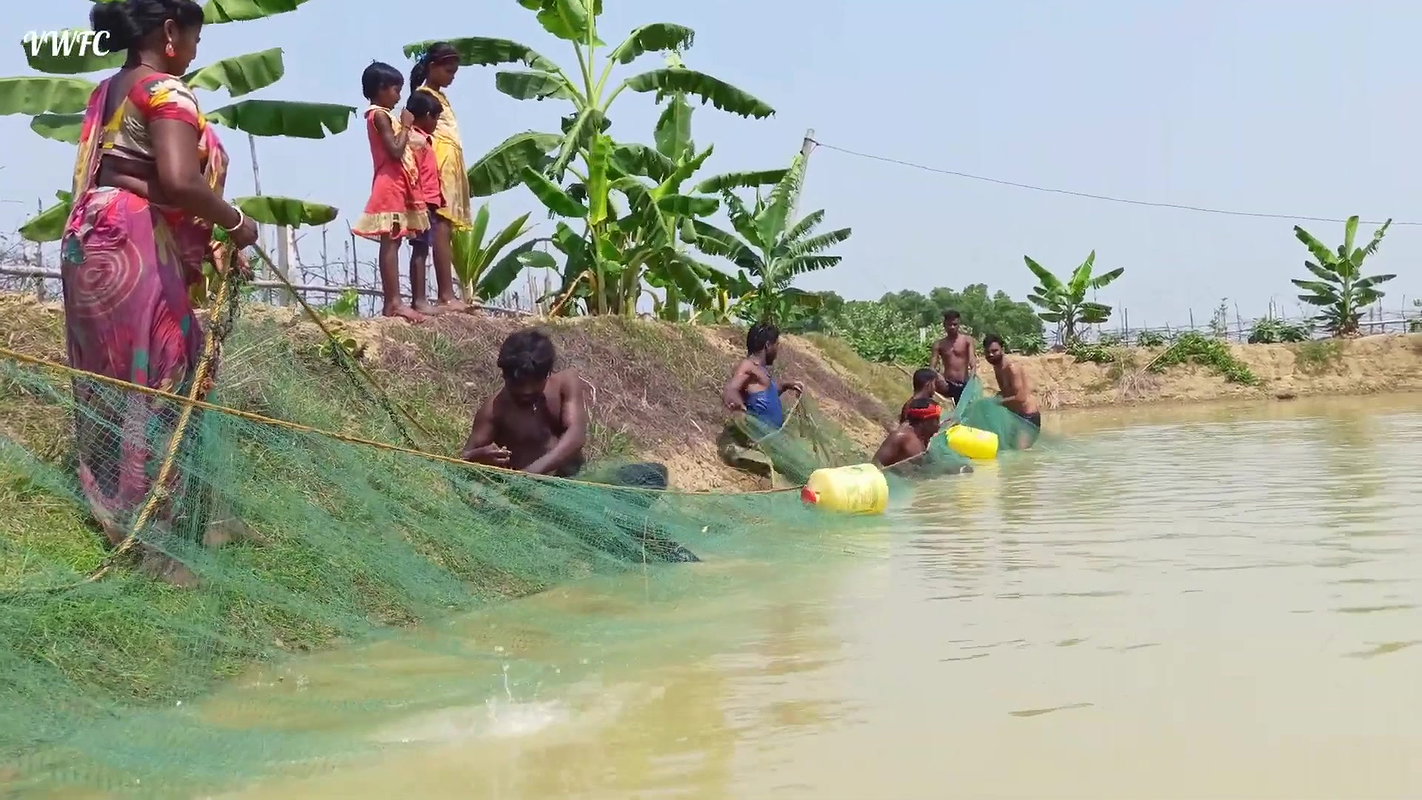 Best Fishing Video    Traditional fishing in Villa