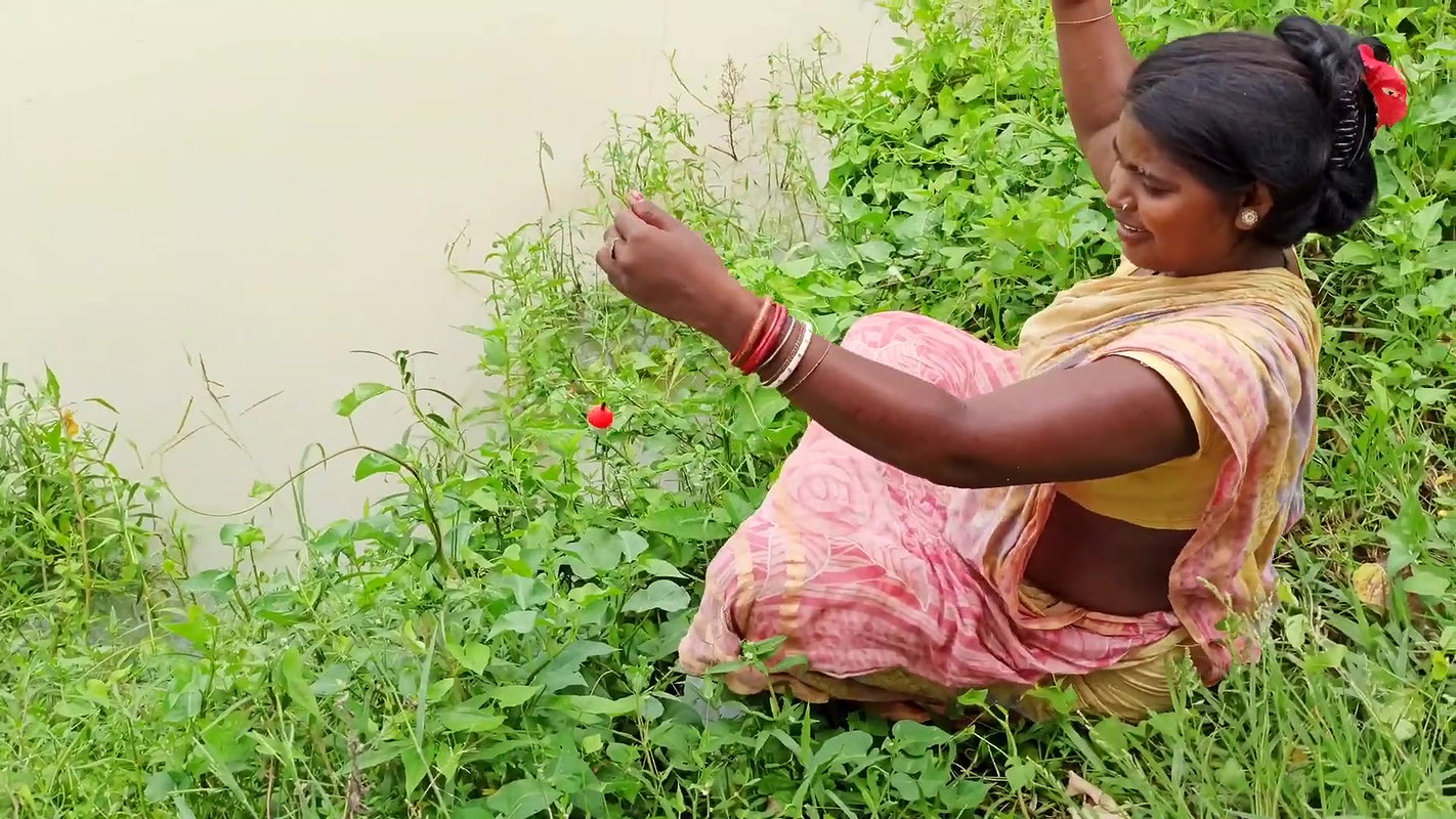 Best Hook Fishing by Village Women   আজ মৌনি হুক ম