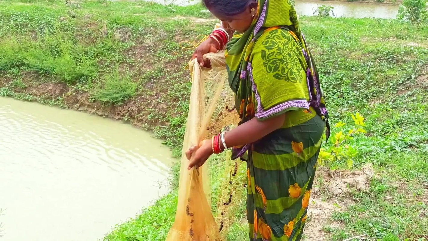 Best Net Fishing in Village    Village women fishi