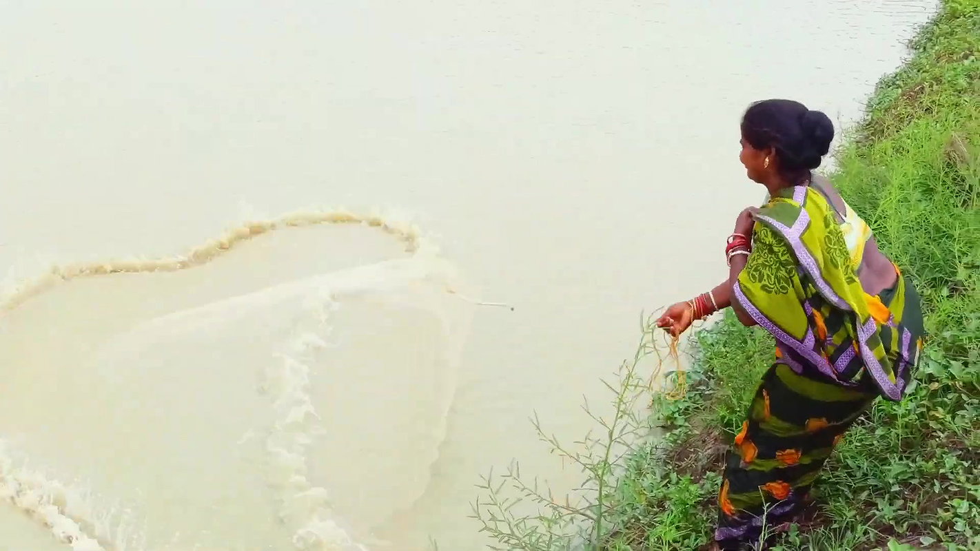 Best Net Fishing in Village    Village women fishi