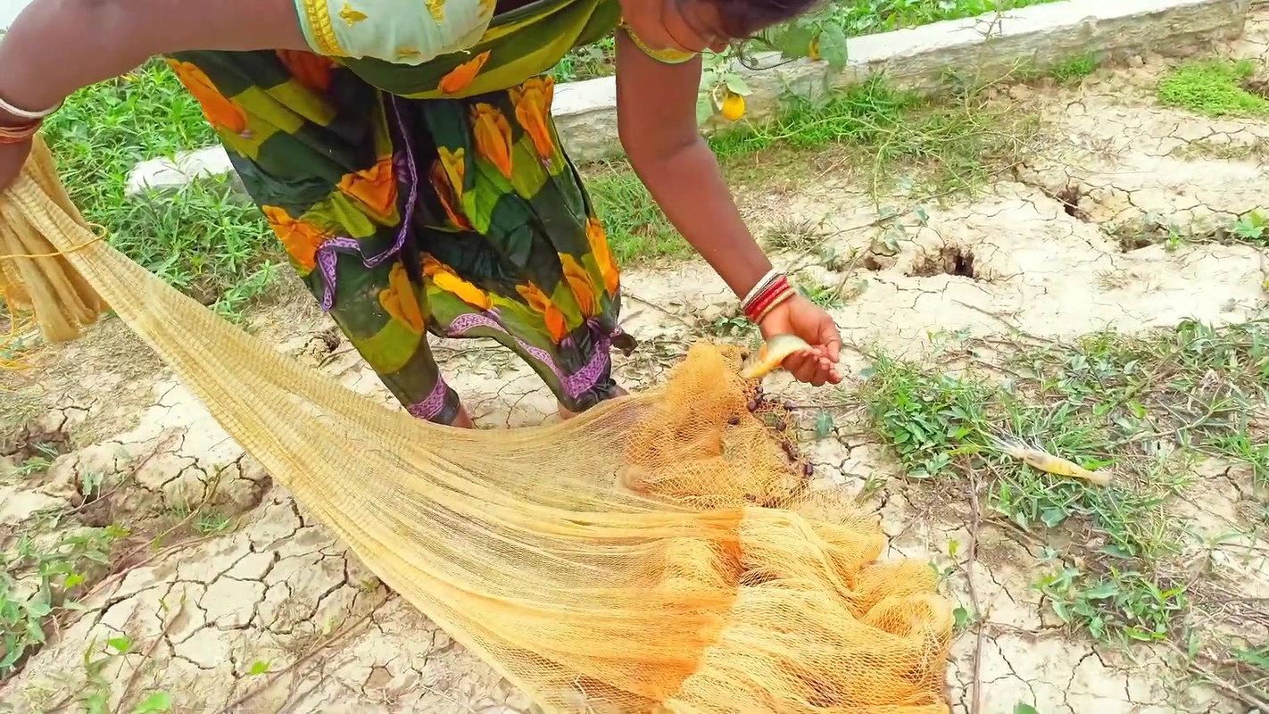 Best Net Fishing in Village    Village women fishi