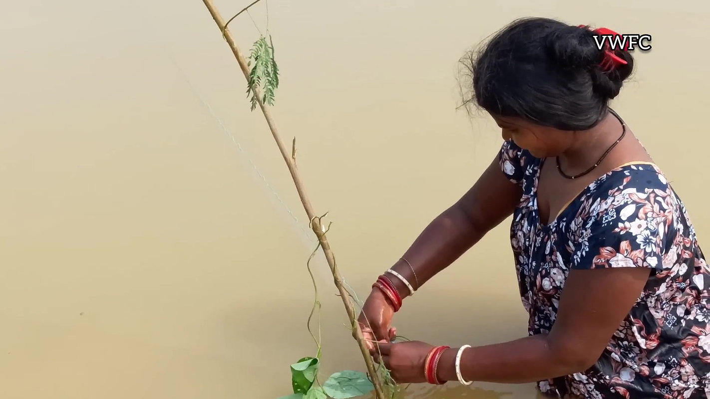 Best Net fishing video   Traditional women net fis