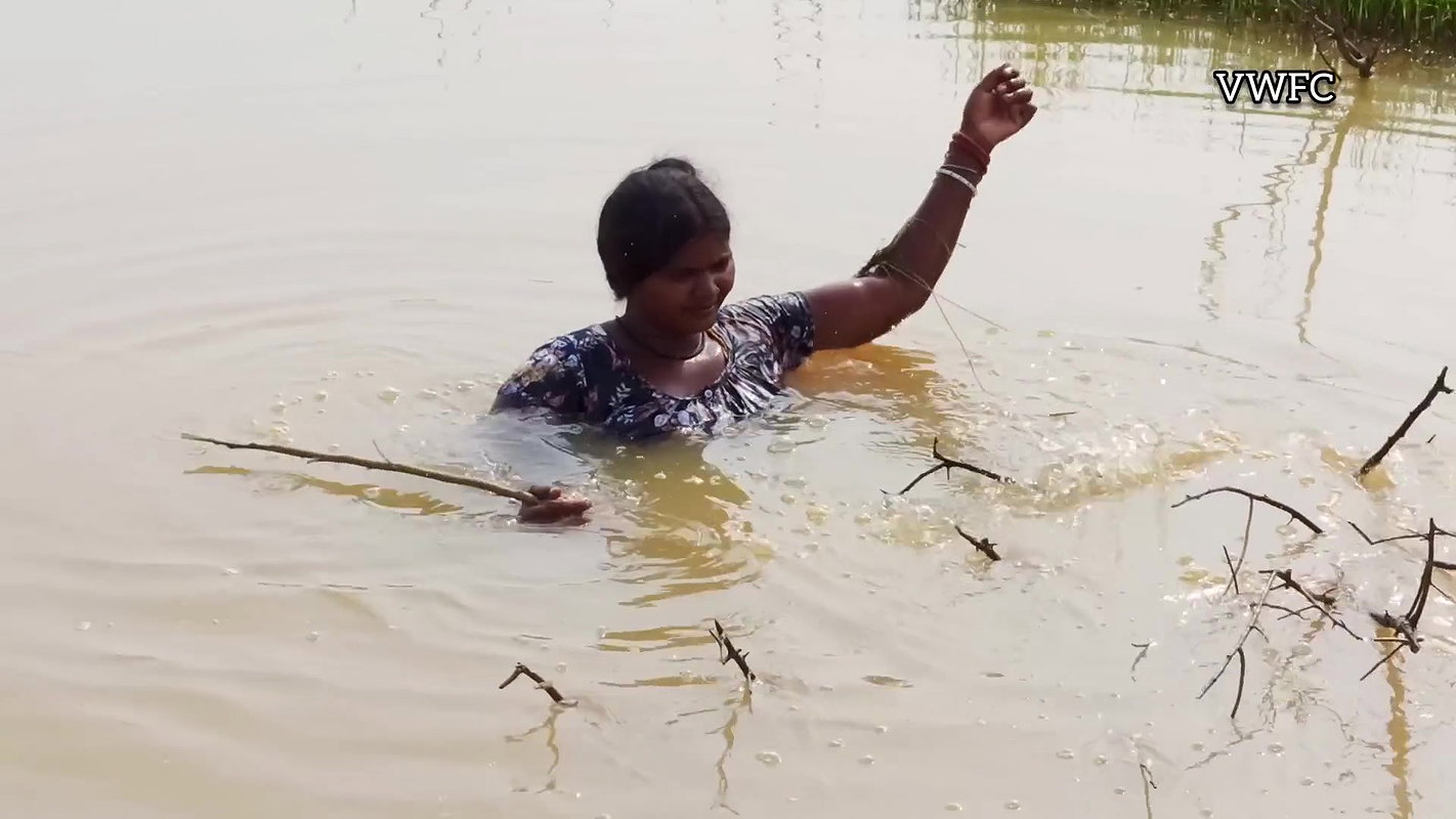 Best Net fishing video   Traditional women net fis