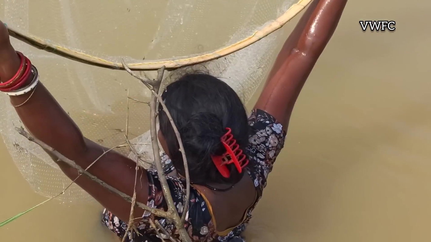Best Net fishing video   Traditional women net fis