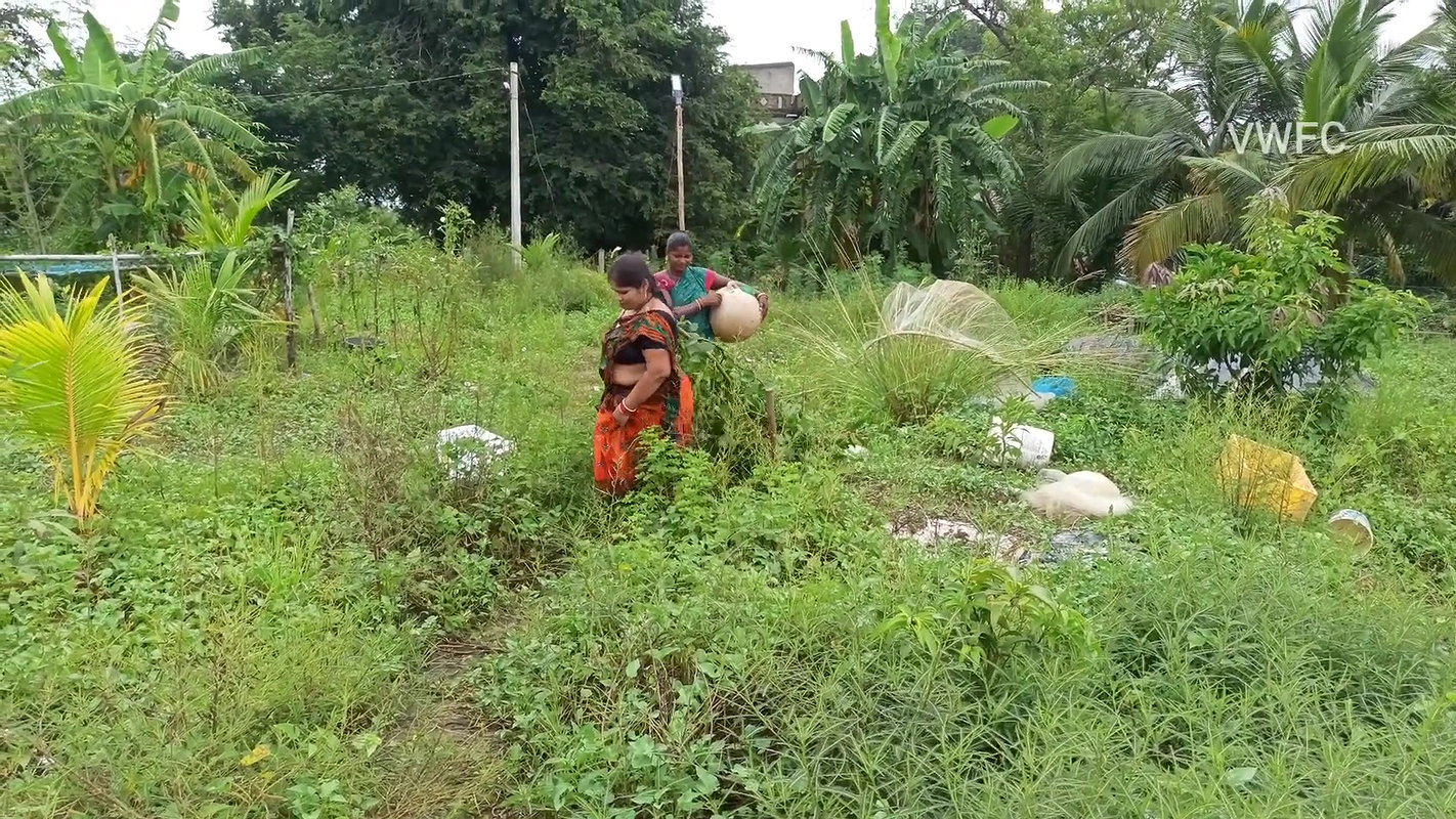 Best Unique Village women fishing technique   Vill