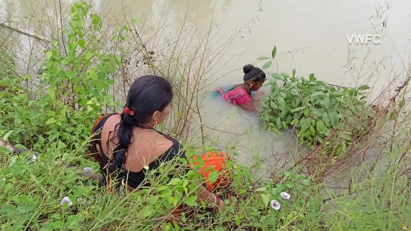 Best Unique Village women fishing technique   Vill