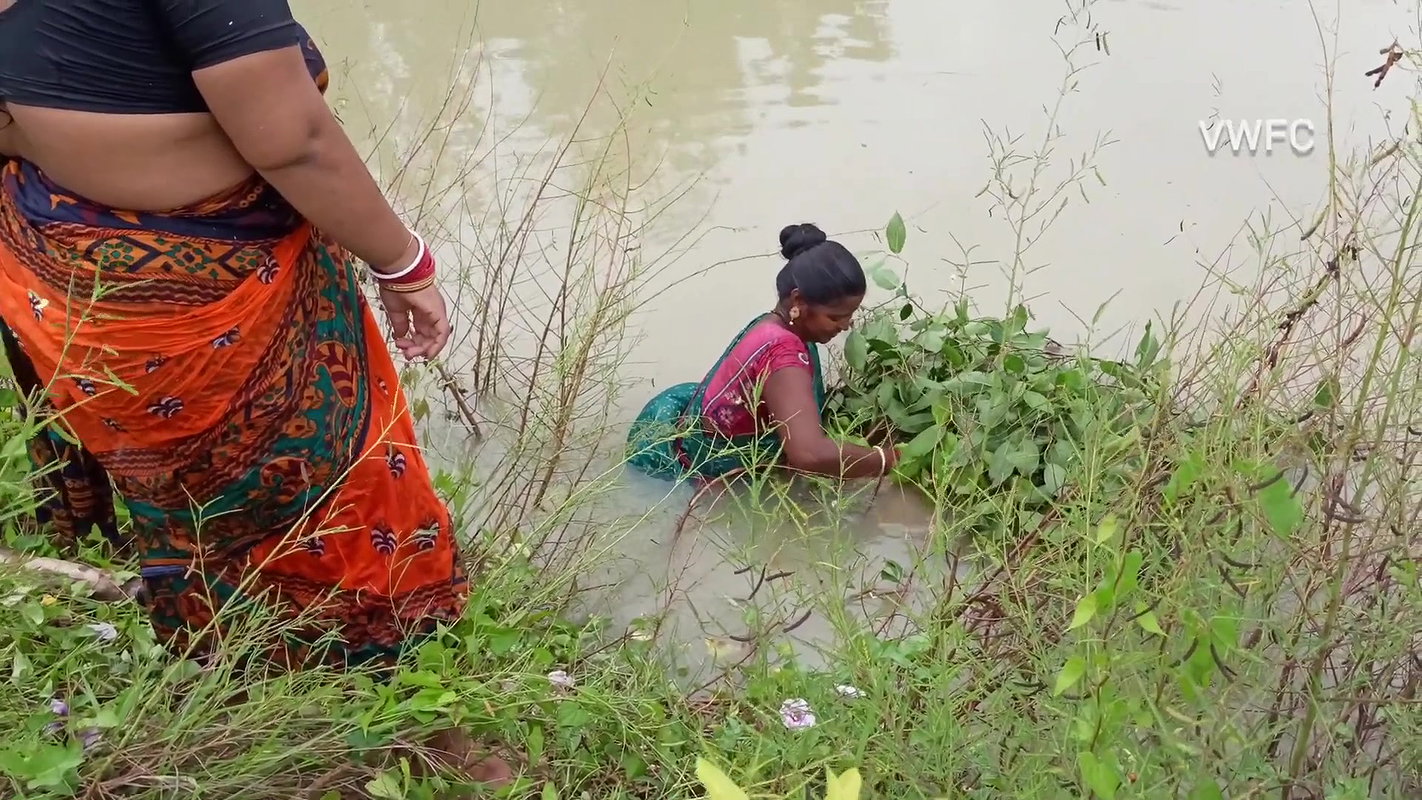 Best Unique Village women fishing technique   Vill