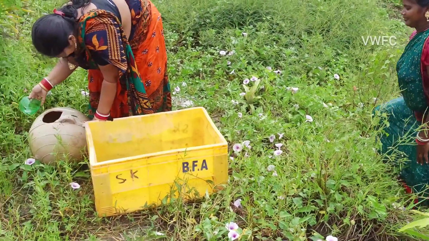 Best Unique Village women fishing technique   Vill