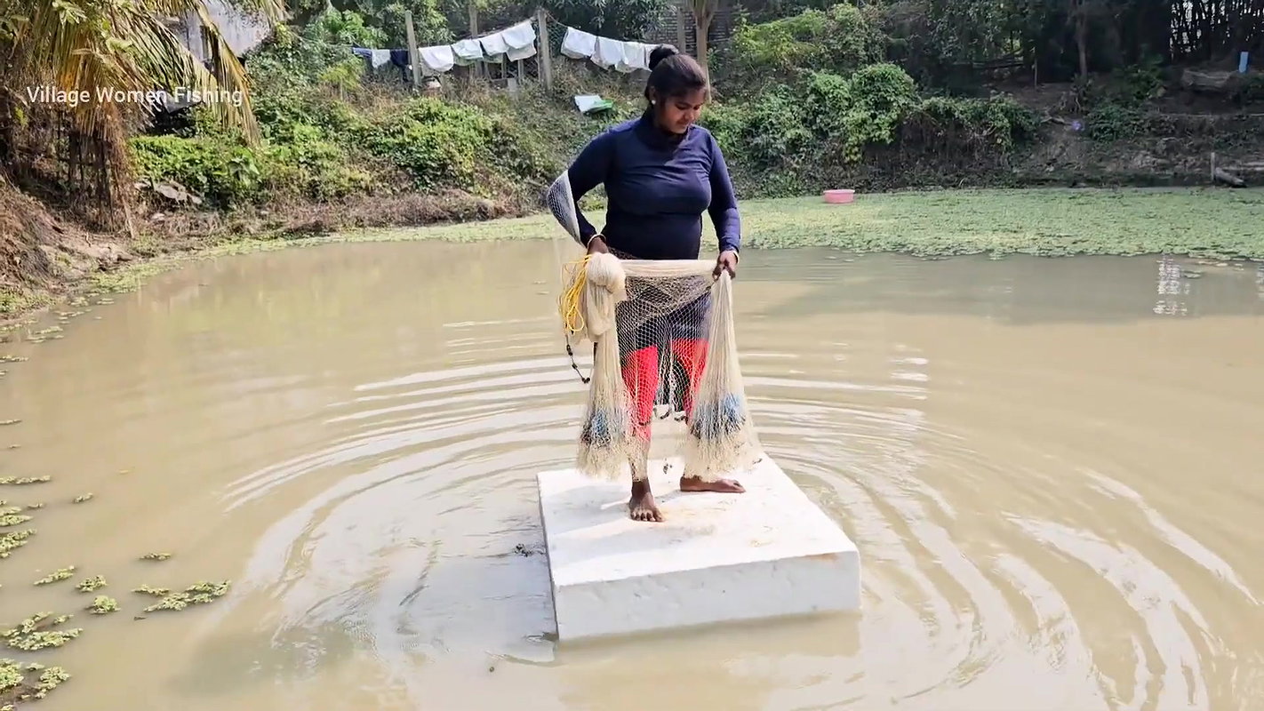Best Village Women amazing Net Fishing for Carp Fi