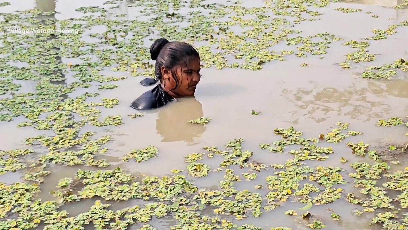 Best Village Women amazing Net Fishing for Carp Fi