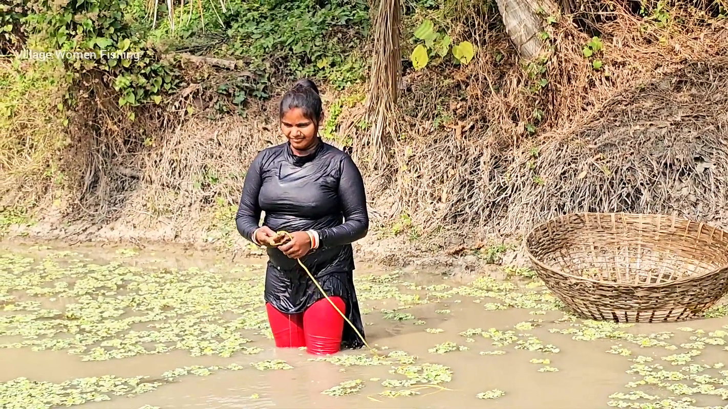 Best Village Women amazing Net Fishing for Carp Fi